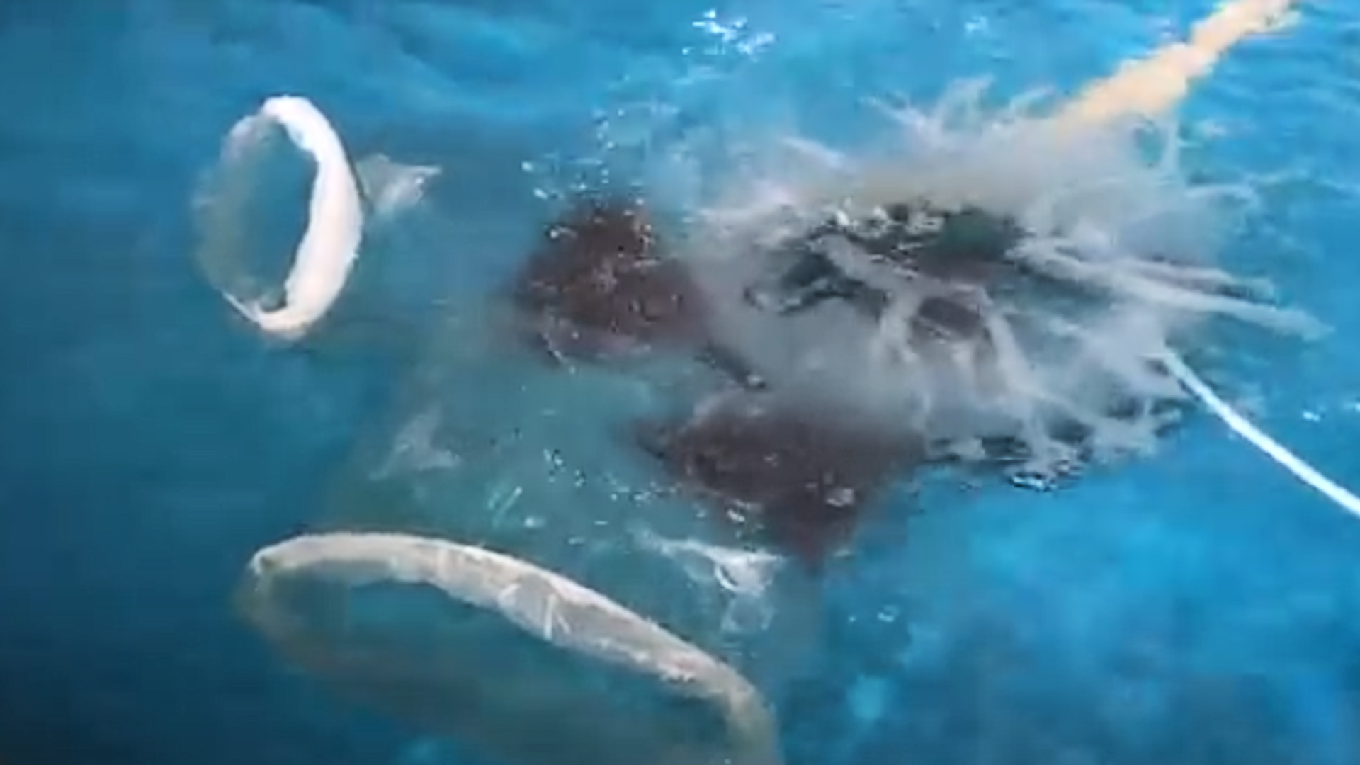 unagi-trading gallery6