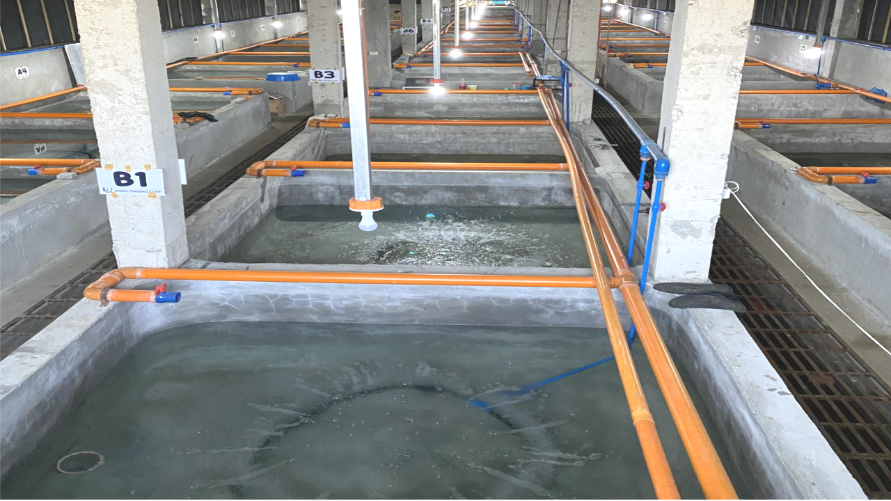 unagi-trading gallery6