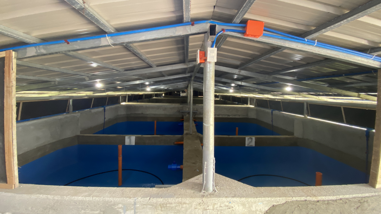 unagi-trading gallery6